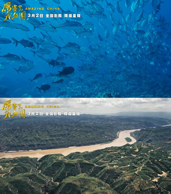 大宝娱乐-LG游戏|PT游戏|CQ9游戏