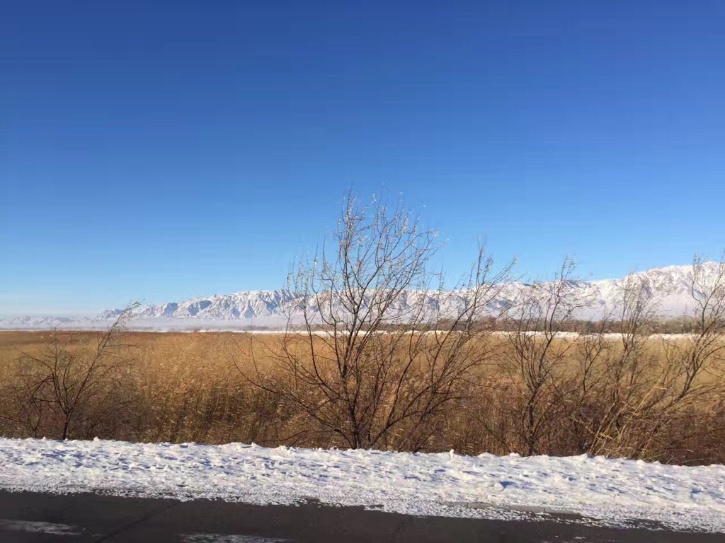 大宝娱乐-LG游戏|PT游戏|CQ9游戏