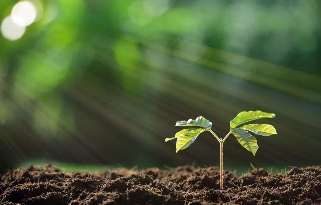 大宝娱乐-LG游戏|PT游戏|CQ9游戏